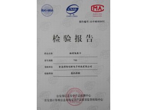 The ministry of public security testing report 02